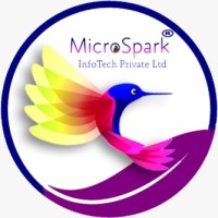 MicroSpark InfoTech Pvt Ltd
